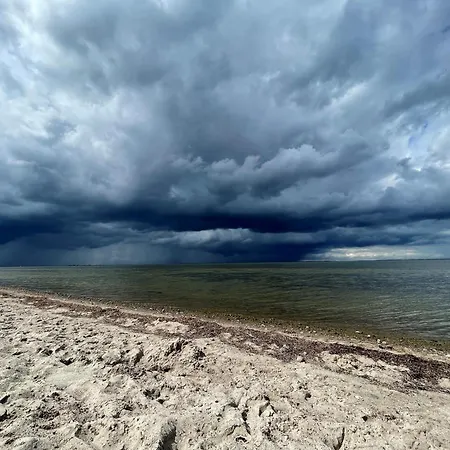 Daire Blaumuschel Sprotte 15 Lubmin