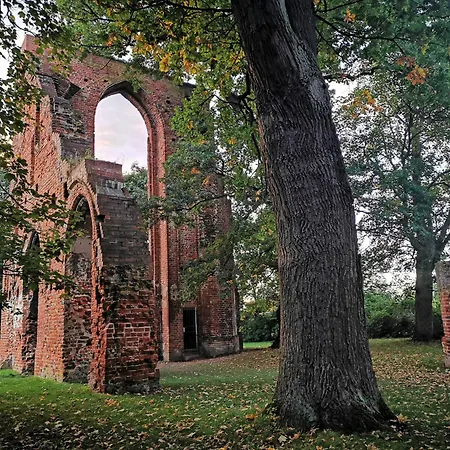 Blaumuschel Sprotte 15 루브민