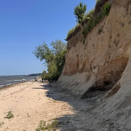 Blaumuschel Sprotte 15 루브민