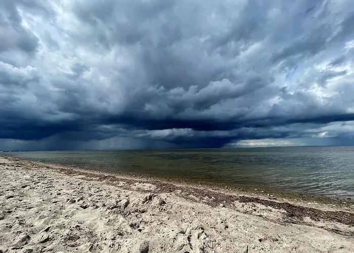 Daire Blaumuschel Sprotte 15 Lubmin