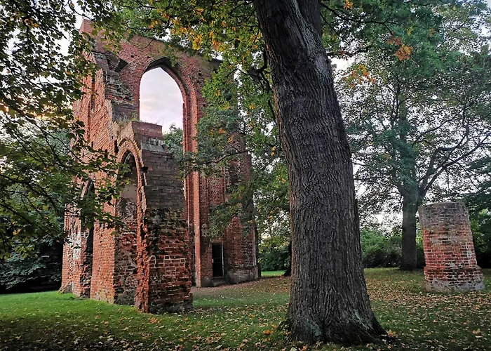 Blaumuschel Sprotte 15 Lubmin