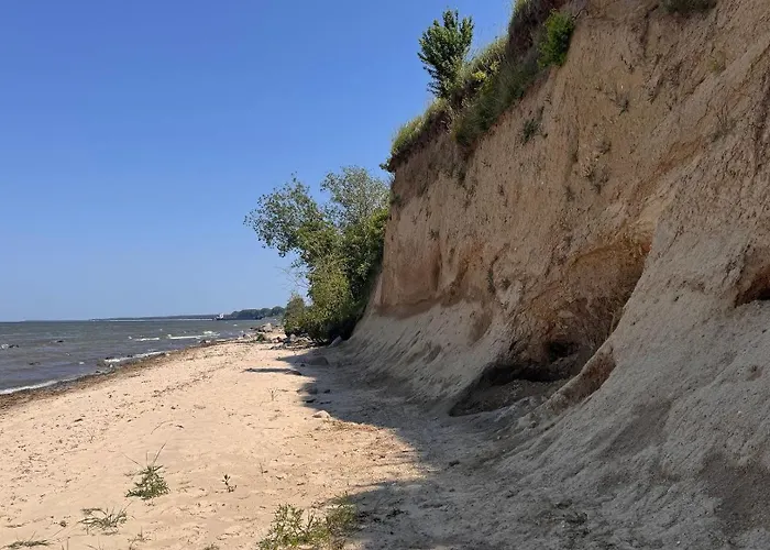 Blaumuschel Sprotte 15 Lubmin